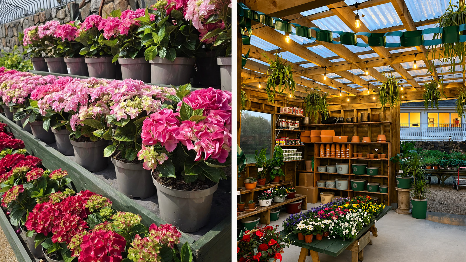 Seasonal bouquets from The Wild Garden in Wicklow offering same-day delivery